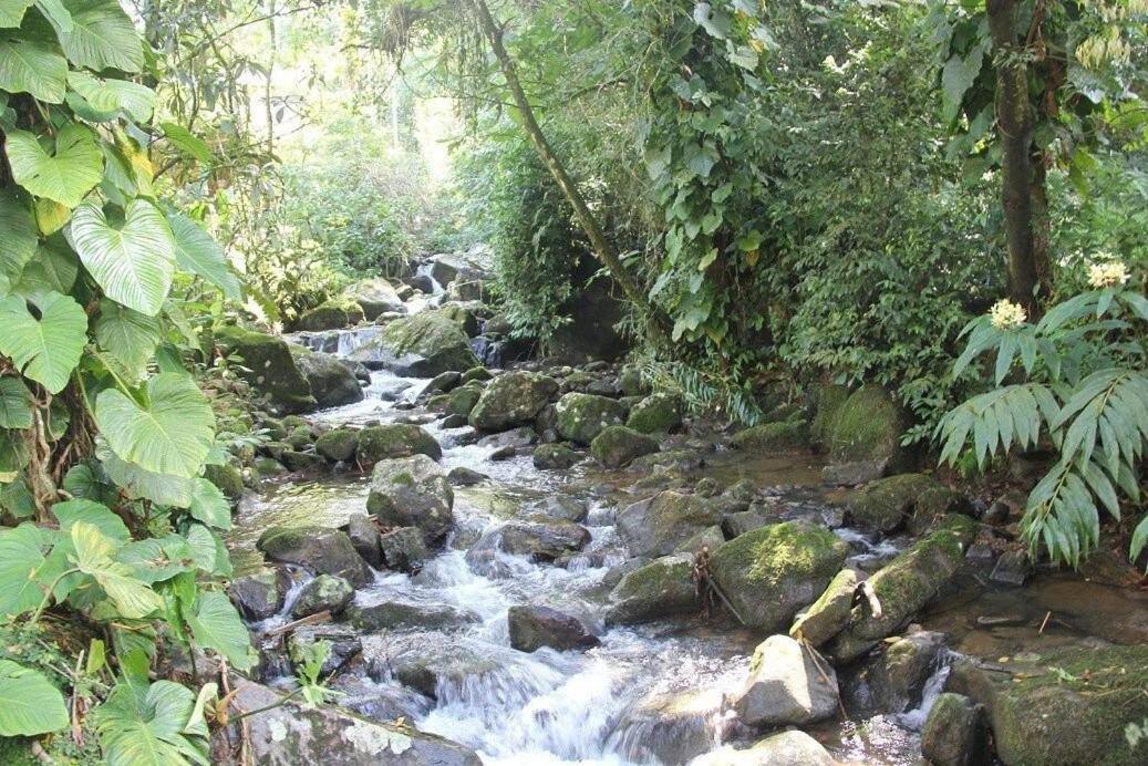 Dingo - Refugio Romantico Em Meio A Natureza Penedo  Bagian luar foto