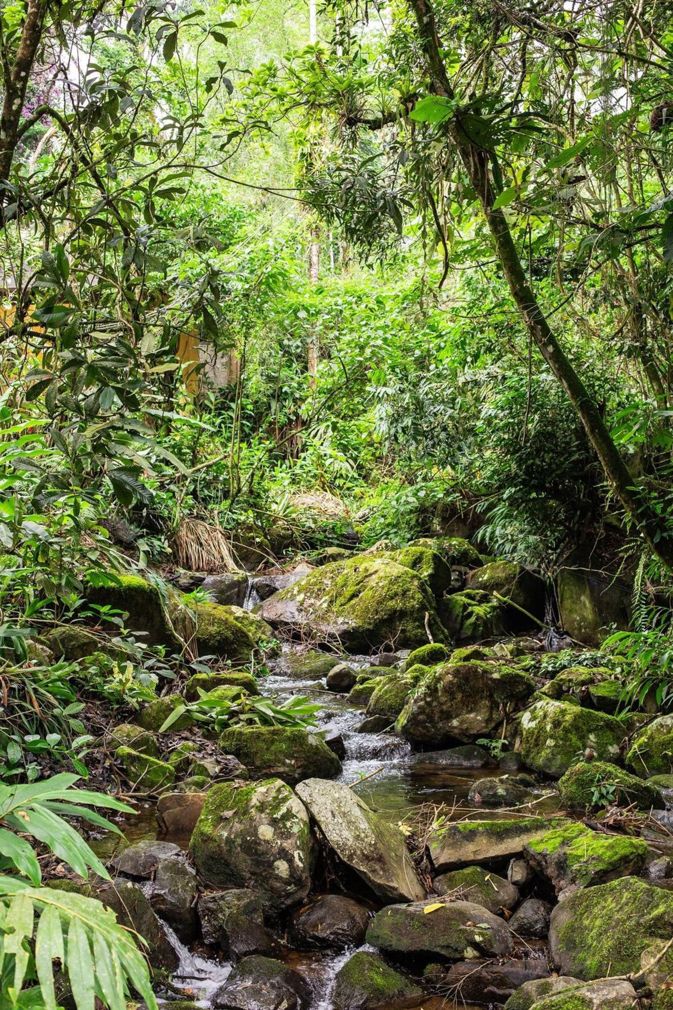 Dingo - Refugio Romantico Em Meio A Natureza Penedo  Bagian luar foto